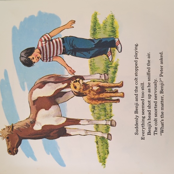 Benji and the Tornado 1981 Child's Book - Picture 5 of 5